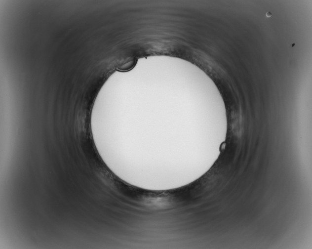 X0000083600514200703091744