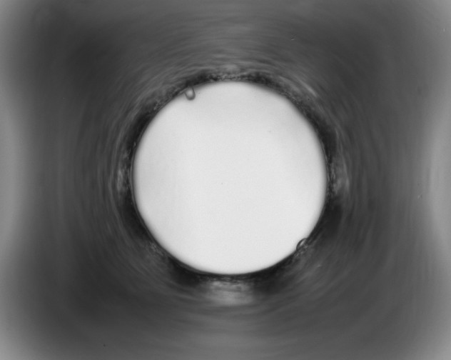 X0000083600515200703091744