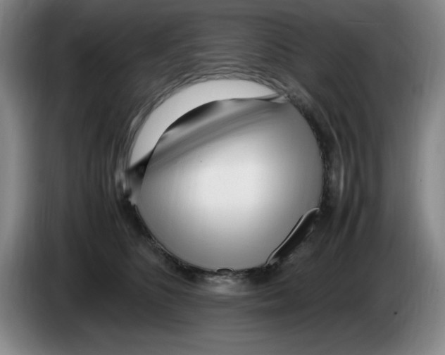 X0000083600516200703091744