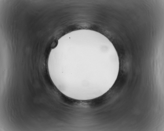 X0000083600518200703091744