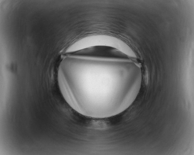 X0000083600520200703091744