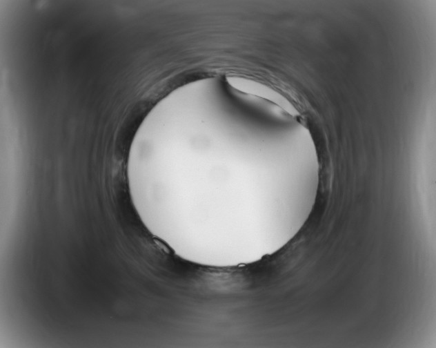 X0000083600521200703091744