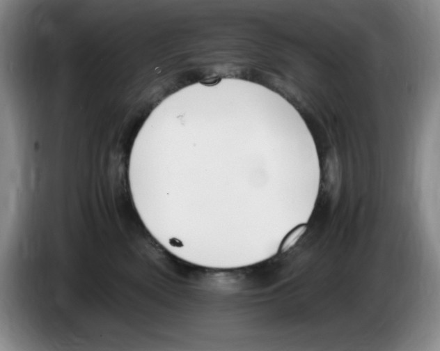 X0000083600522200703091744