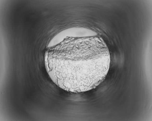 X0000083600523200703091744