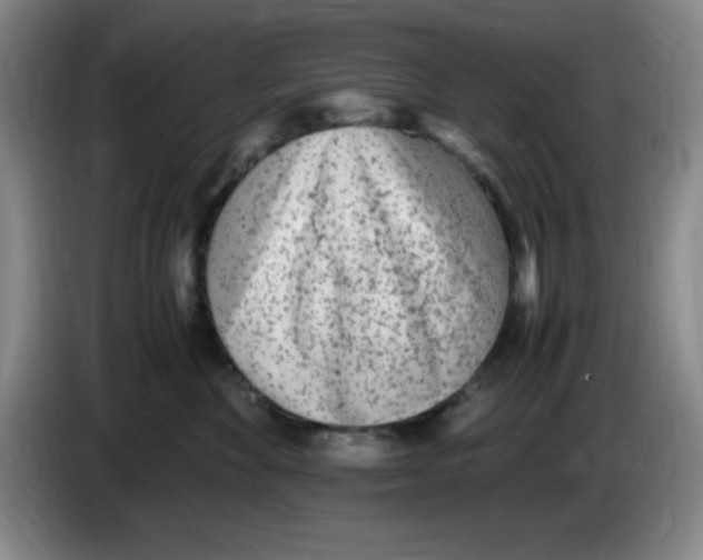 X0000083600524200703091744