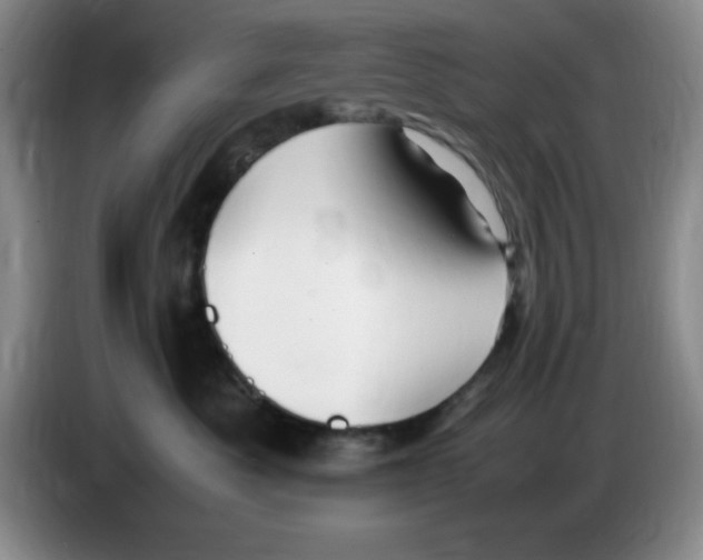 X0000083600525200703091744