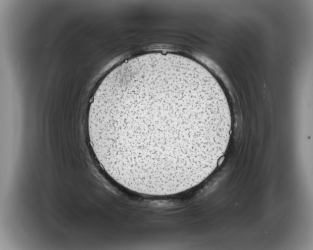 X0000083600529200703091743