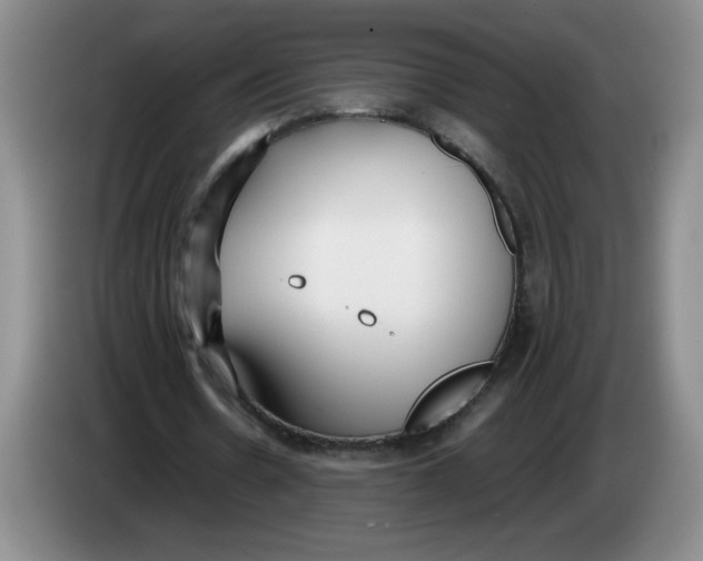 X0000083600530200703091743