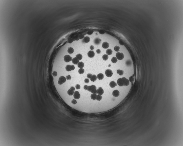 X0000083600531200703091743
