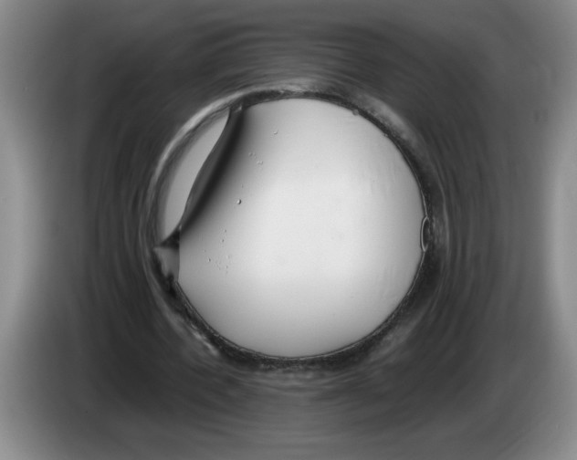 X0000083600532200703091743