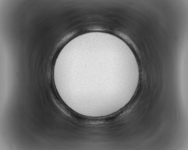 X0000083600533200703091743