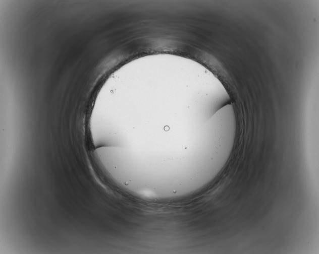 X0000083600534200703091743