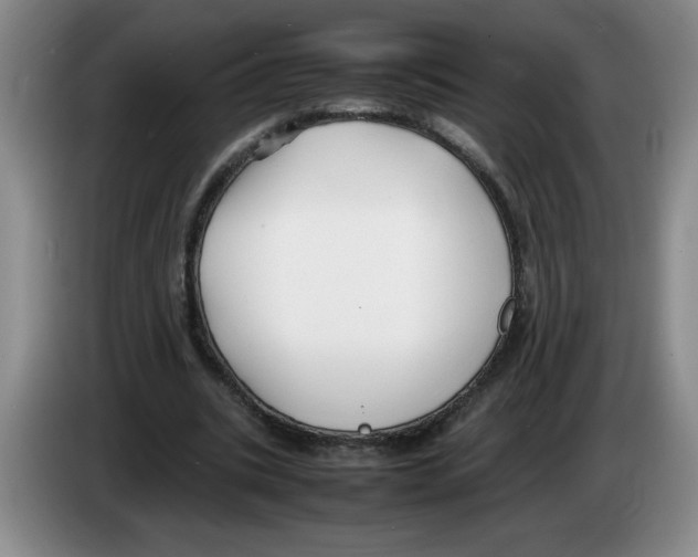 X0000083600535200703091743