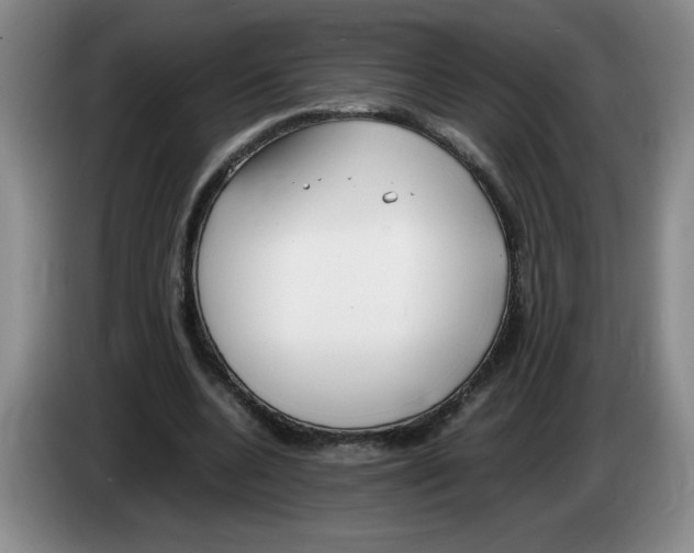 X0000083600536200703091743