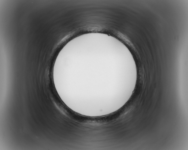 X0000083600538200703091743