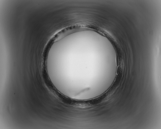 X0000083600540200703091743