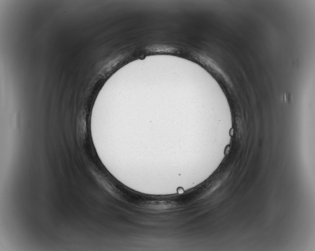 X0000083600541200703091743