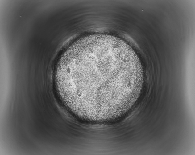 X0000083600542200703091743