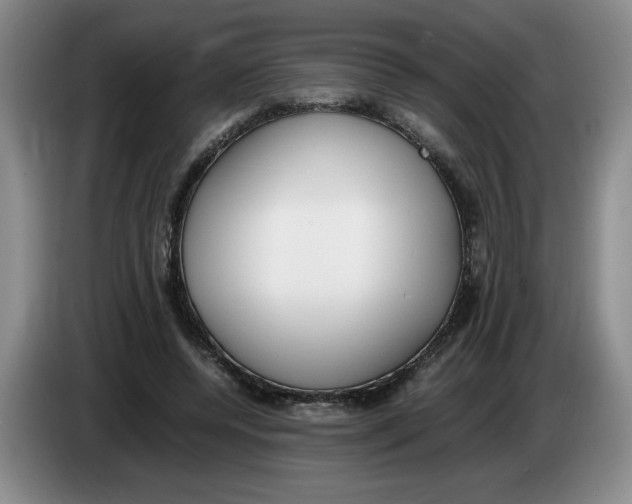 X0000083600544200703091743