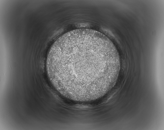 X0000083600545200703091743