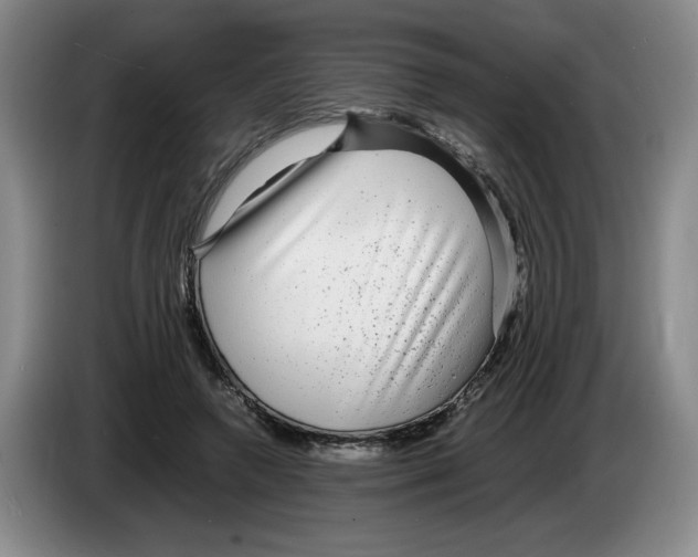 X0000083600546200703091743