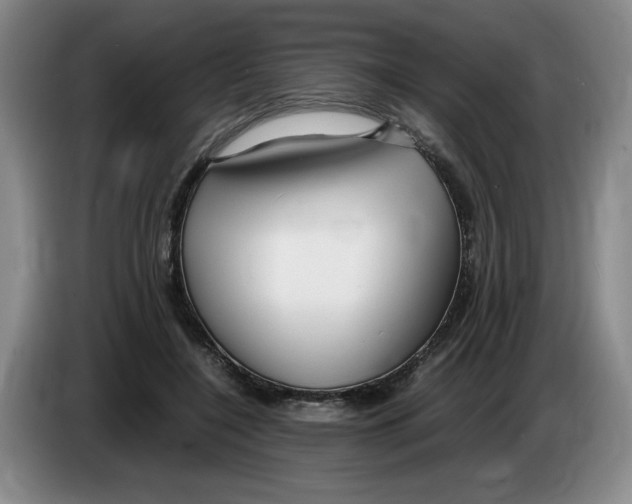 X0000083600548200703091743