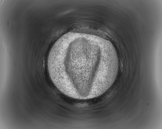 X0000083600551200703091743