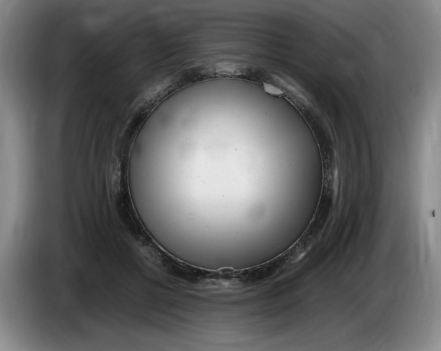 X0000083600552200703091743