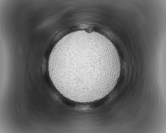 X0000083600554200703091743