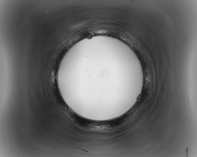 X0000083600555200703091743