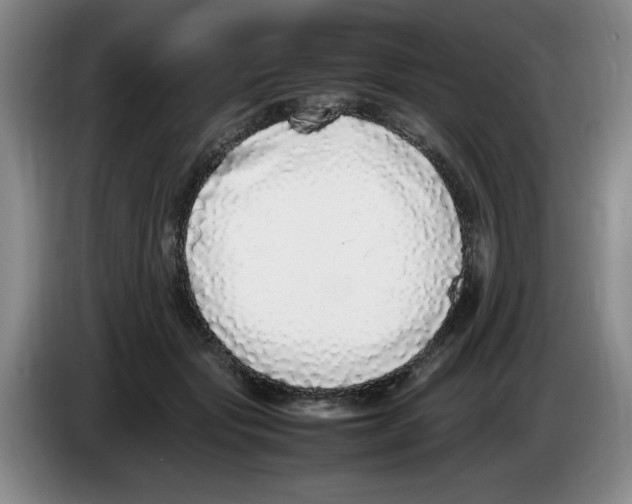 X0000083600557200703091743