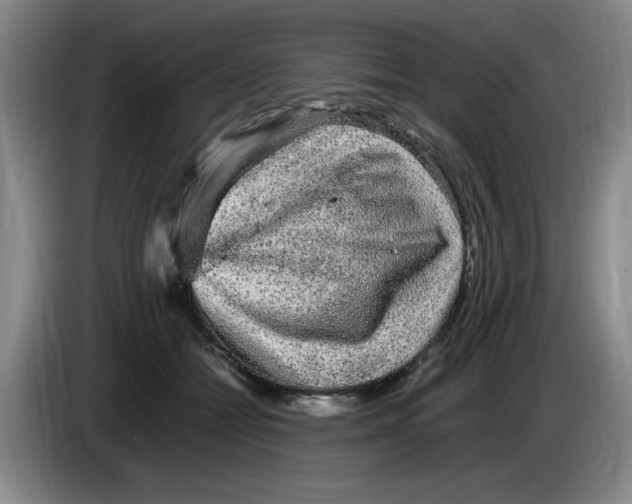 X0000083600558200703091743