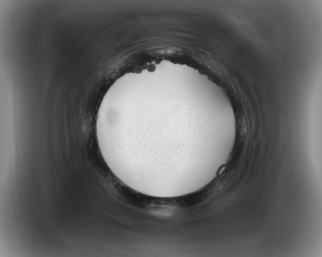 X0000083600559200703091743