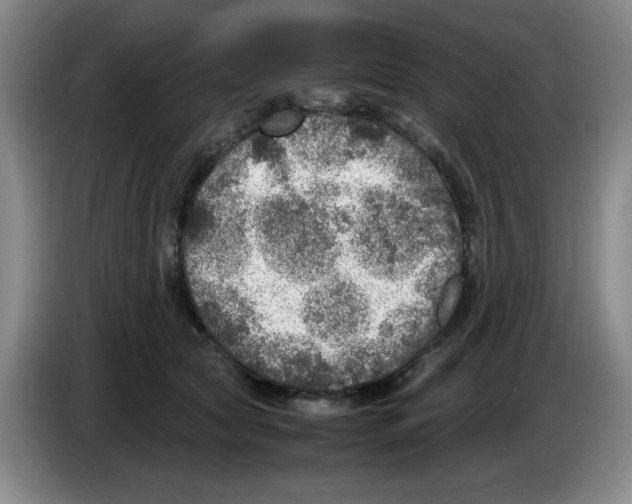 X0000083600561200703091743