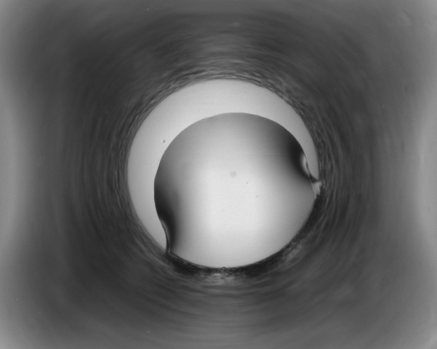 X0000083600562200703091743