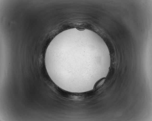 X0000083600563200703091743