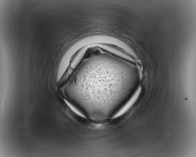 X0000083600564200703091743