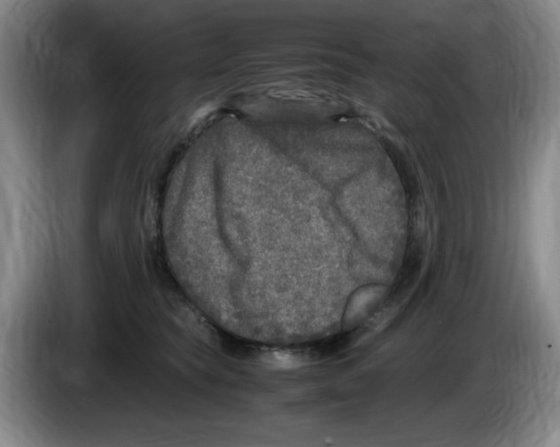 X0000083600565200703091743