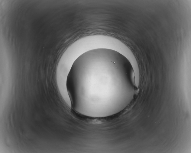 X0000083600566200703091743