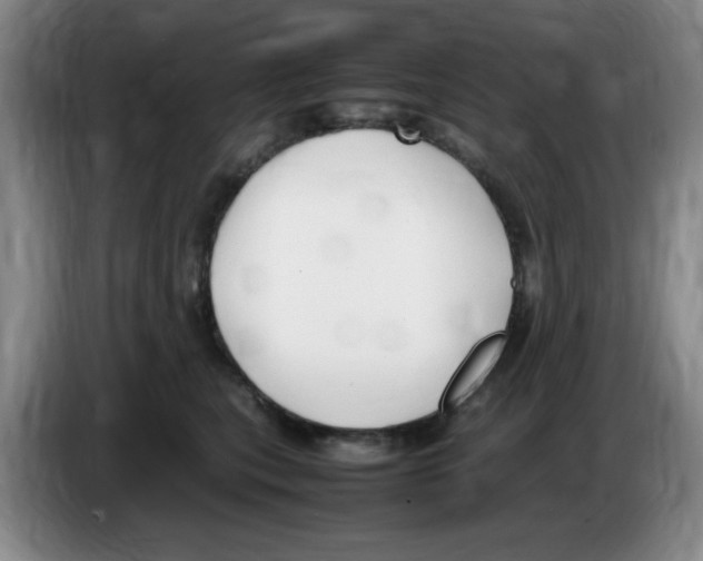 X0000083600567200703091743