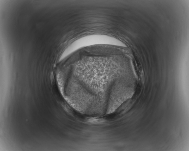 X0000083600568200703091744