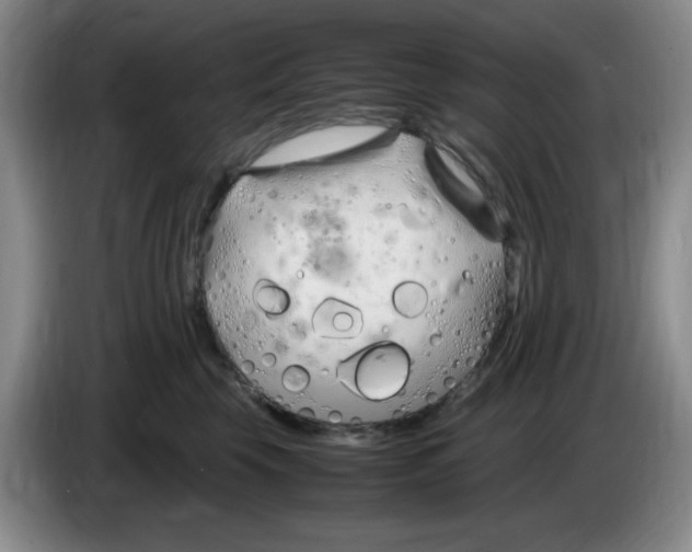 X0000083600569200703091744