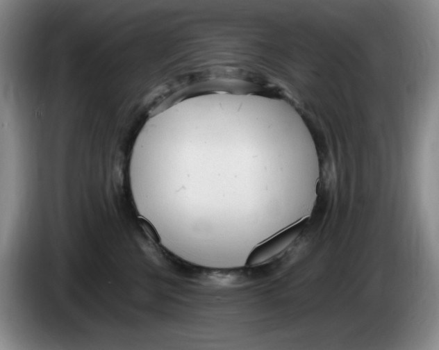 X0000083600570200703091744