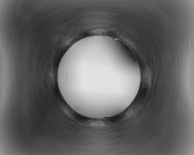 X0000083600572200703091744