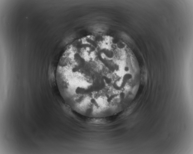 X0000083600573200703091744