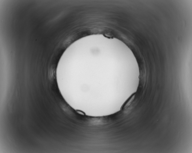 X0000083600574200703091744