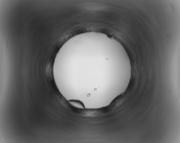 X0000083600575200703091744