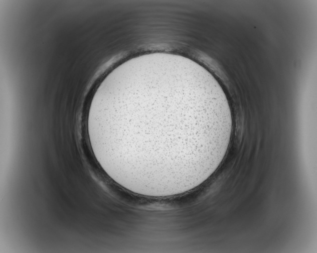 X0000083600578200703091743