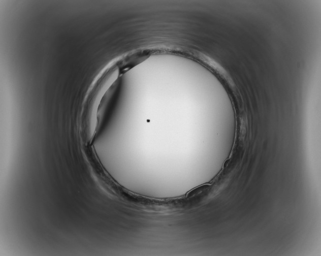 X0000083600580200703091743