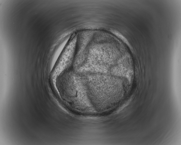 X0000083600581200703091743